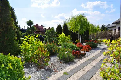 Zawojscy Ogrody Garden - Design | Projektowanie Ogrodów Szczecin